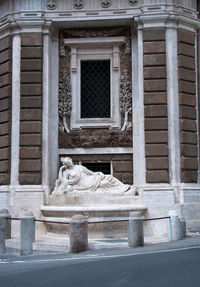 Cat looking at window of building