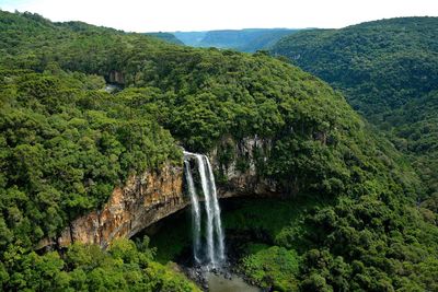 Scenic view of waterfall in forest