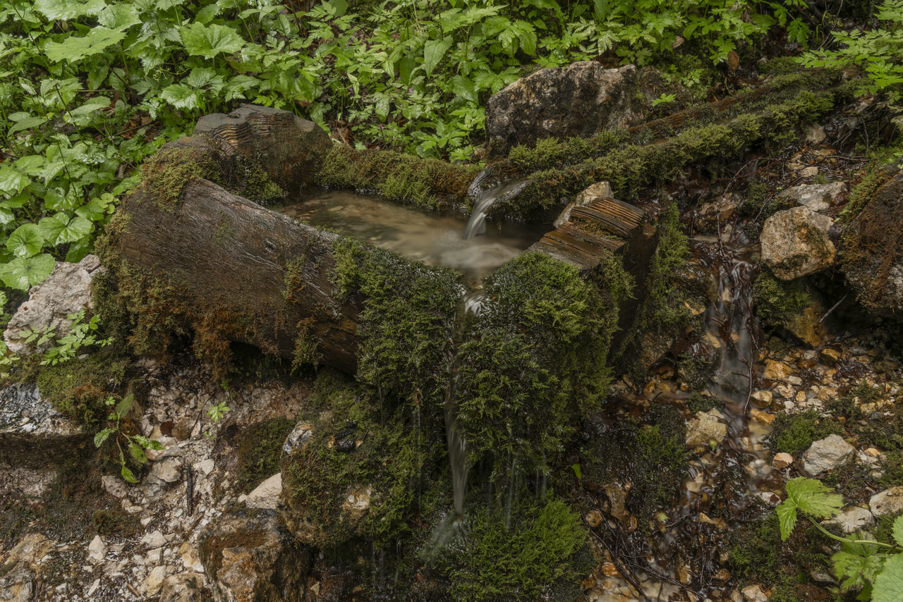WATER FLOWING THROUGH ROCKS IN FOREST