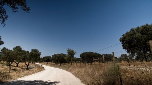 Dirt road passing through landscape