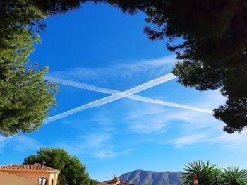 Low angle view of trees and building against sky