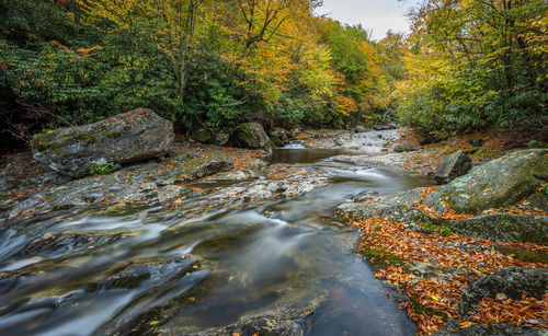 Stream flowing through rocks in forest