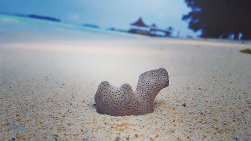 Close-up of heart shape on beach against sky