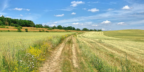 View of field against cloudy sky