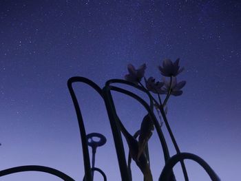 Low angle view of flowering plant against blue sky