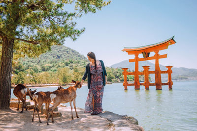 Woman with deer at riverbank against torii gate