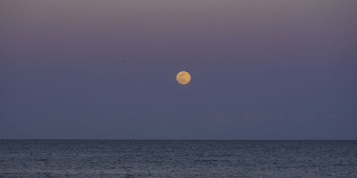 Scenic view of sea against sky at night