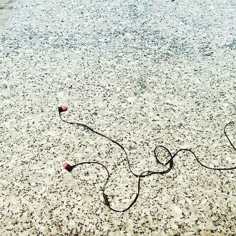 red, day, no people, outdoors, close-up, full frame, backgrounds, pink color, nature, ground, beauty in nature, detail, growth, white