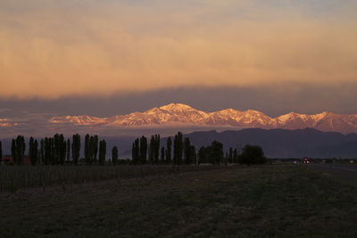 Scenic view of field against sky during sunset