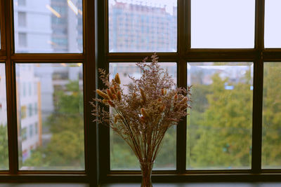 Flower vase on window sill at home