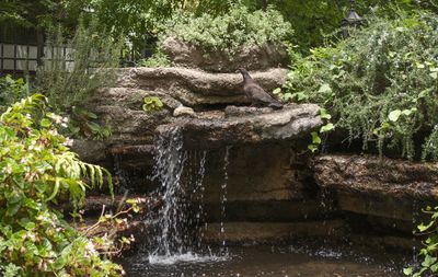 Scenic view of water flowing through rocks