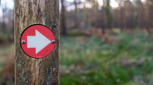 Red hiking trail marker pointing the direction in the woods