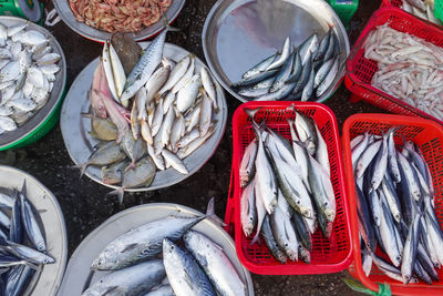 High angle view of fish for sale at duy hai fish market in hoi an old town, central vietnam