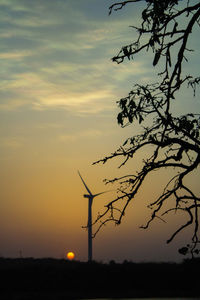Silhouette tree on field against sky during sunset