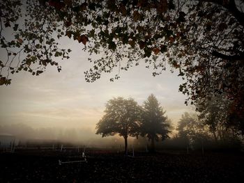 Trees on field against sky during sunset