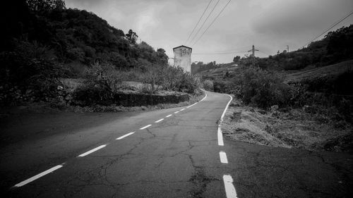 Empty road along trees and plants