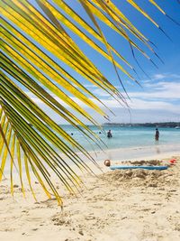 Scenic view of beach against sky