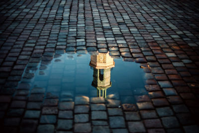 Clock tower of poznan town hall reflecting in puddle on street