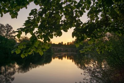 Reflection of trees in lake against sky