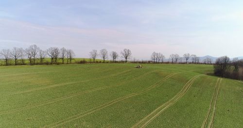 Scenic view of field against sky