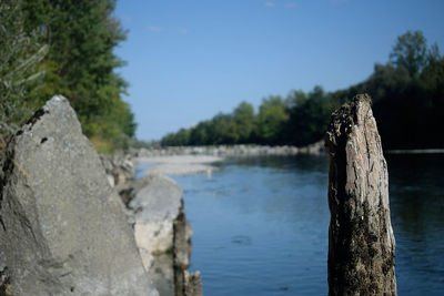 Wooden posts on tree trunk against clear sky