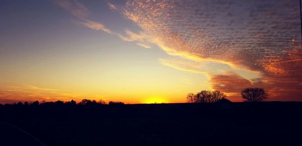 Silhouette of trees at sunset