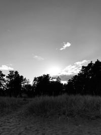 Trees on field against sky during sunset