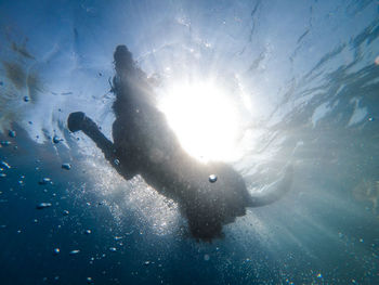 Low angle view of woman swimming in sea