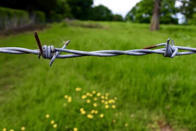 Barbed wire fence on field