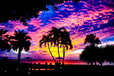 Silhouette trees against dramatic sky during sunset