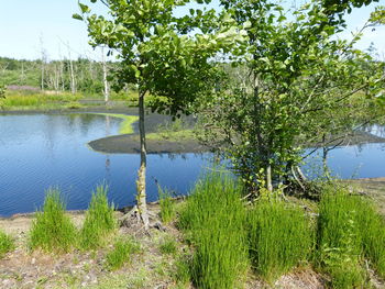 Scenic view of lake against sky