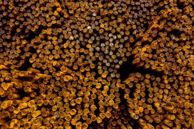 Full frame shot of stones