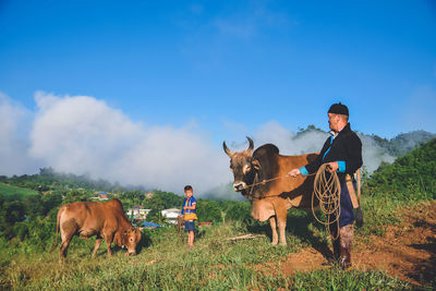 Horses on field against sky