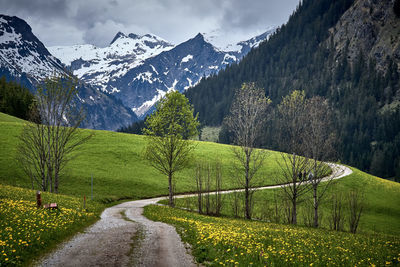 Road amidst green landscape against sky