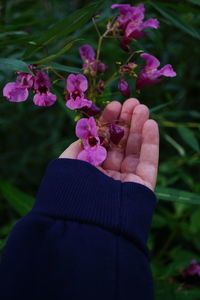 Cropped hand holding flower