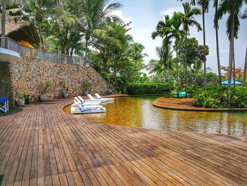 Scenic view of palm trees by plants against sky