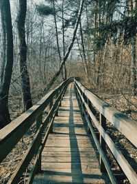 View of footbridge in forest