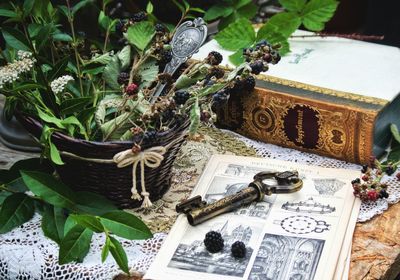 High angle view of flower on book