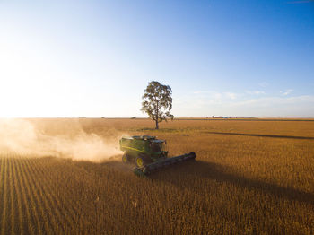 Scenic view of agricultural field against clear sky