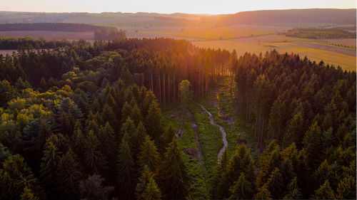 High angle view of trees on landscape against sky