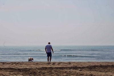 Rear view of dog and aman on beach
