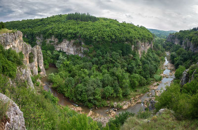 Panoramic shot of trees on landscape against sky