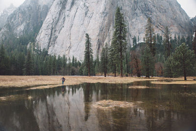 Distant view of woman standing by lake in forest