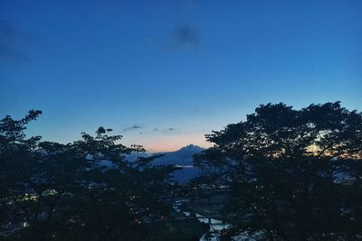 Low angle view of silhouette trees against sky