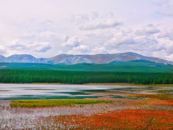 Scenic view of lake against sky