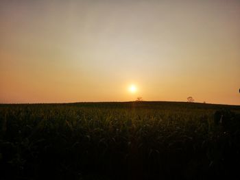 Scenic view of field against sky during sunset