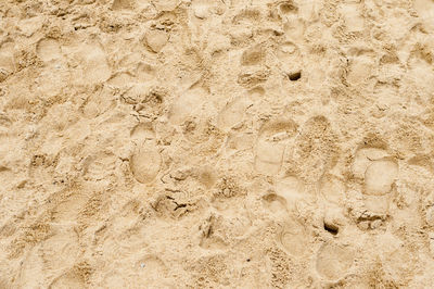 Close-up of footprints on sand