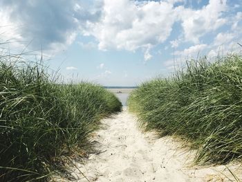 Scenic view of beach against sky