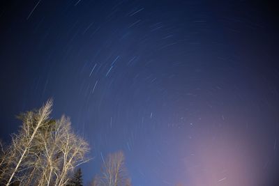 Low angle view of trees against sky at night