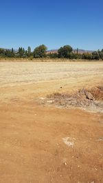 Scenic view of field against clear sky
